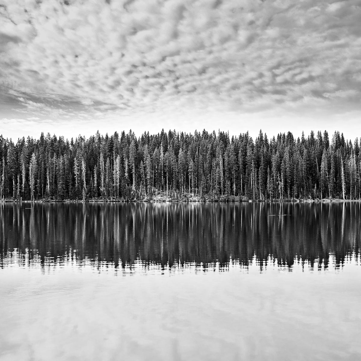 Lake Reflection Photography