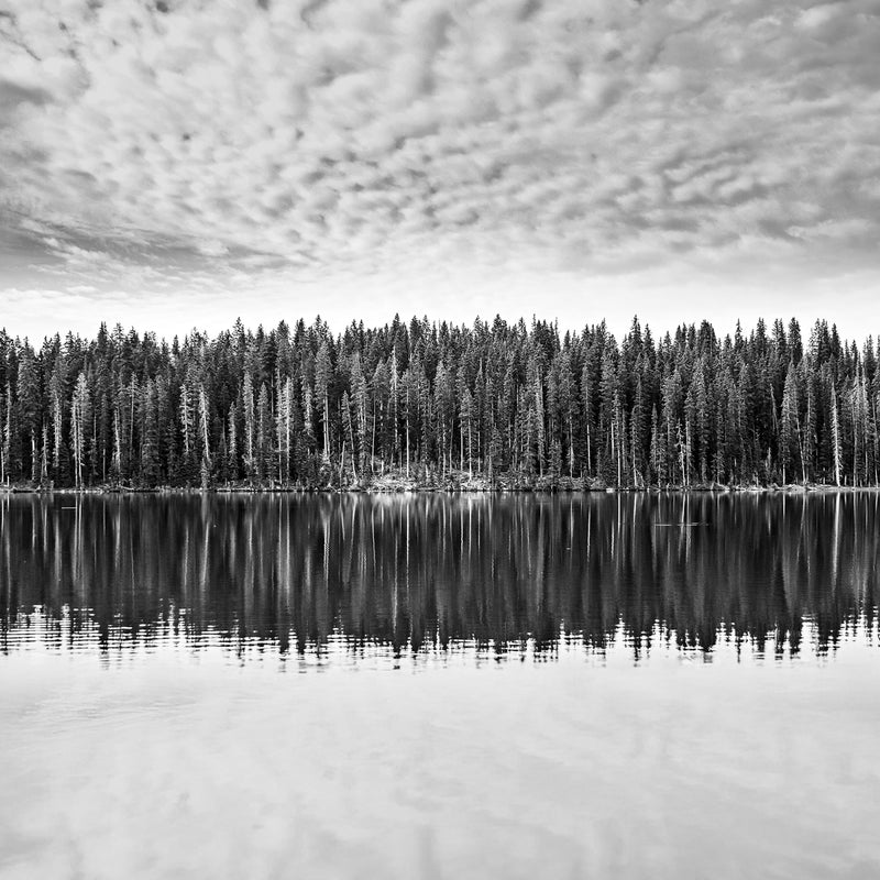 Lake Reflection Photography - Sage and Rose Prints