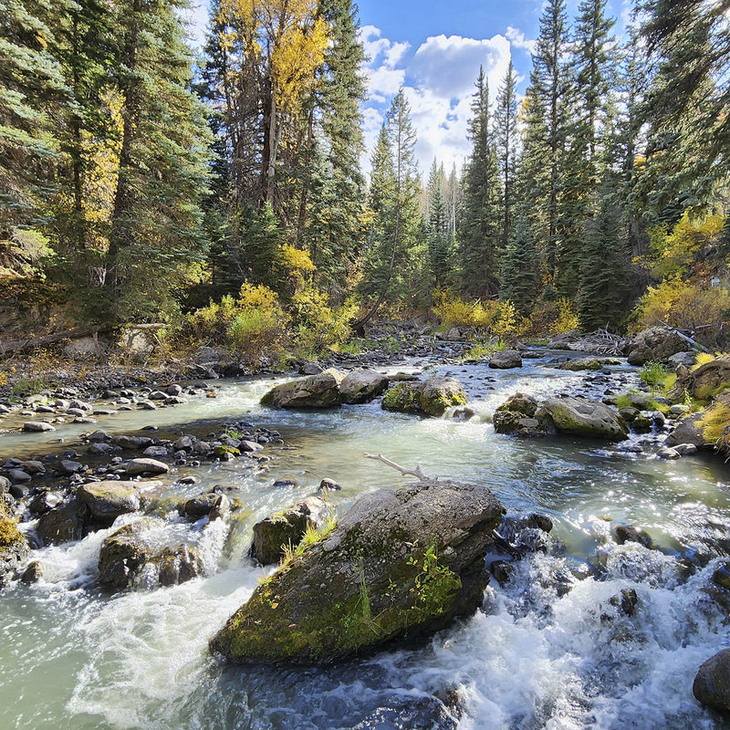 Vibrant Mountain River Photography - Sage and Rose Prints