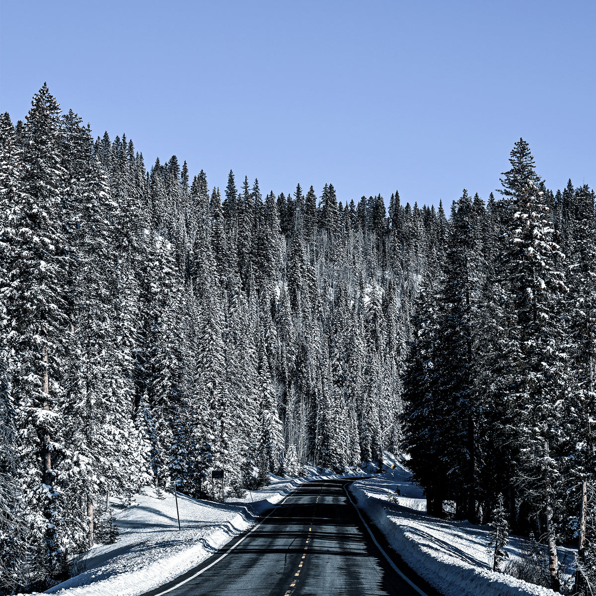 Winter Landscape Photography - Sage and Rose Prints