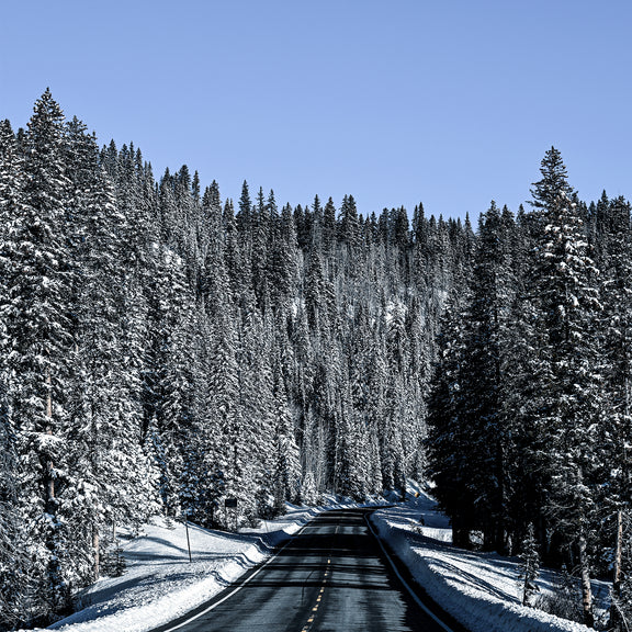 Winter Landscape Photography - Sage and Rose Prints