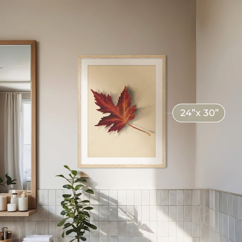 Leaf Drawing in Shades of Red No1 - Sage and Rose Prints