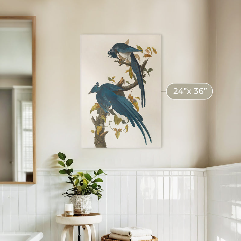 Jay Bird Artwork - Sage and Rose Prints