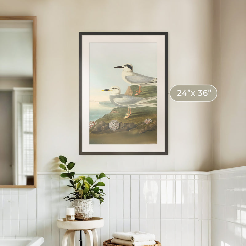 Seagull Print - Sage and Rose Prints