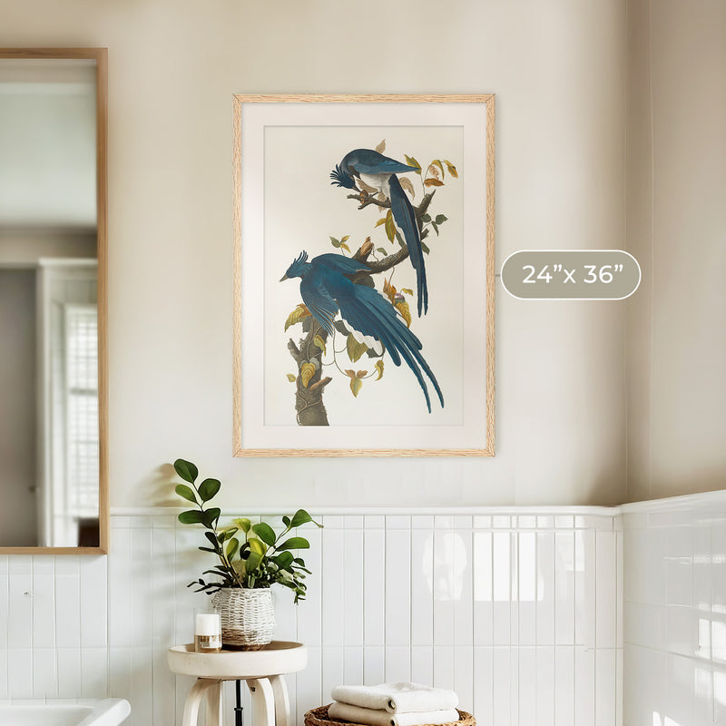 Jay Bird Artwork - Sage and Rose Prints