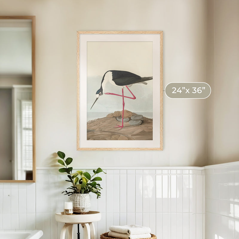 Black Necked Stilt Print - Sage and Rose Prints