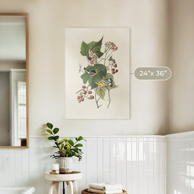 Black and Yellow Warbler Print - Sage and Rose Prints