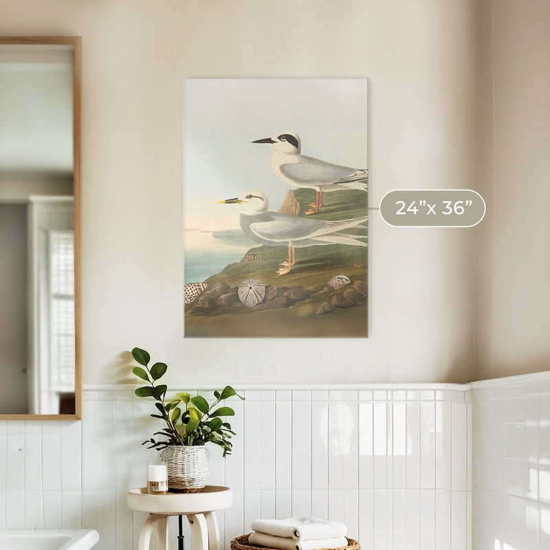 Seagull Print - Sage and Rose Prints