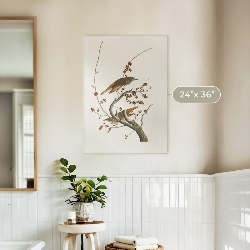 Naturalist Bird Print No1 - Sage and Rose Prints