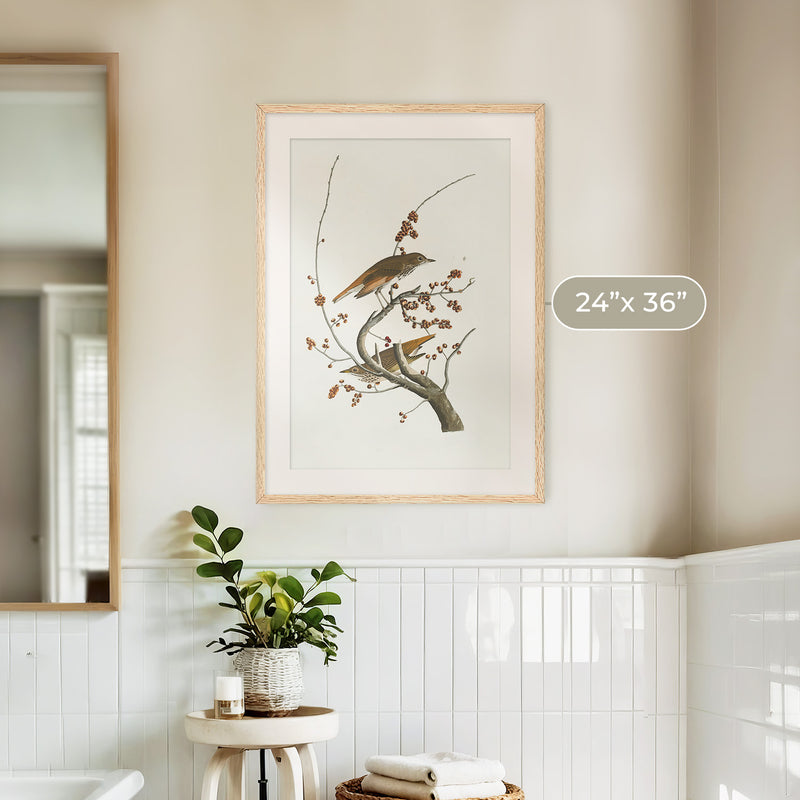 Naturalist Bird Print No1 - Sage and Rose Prints