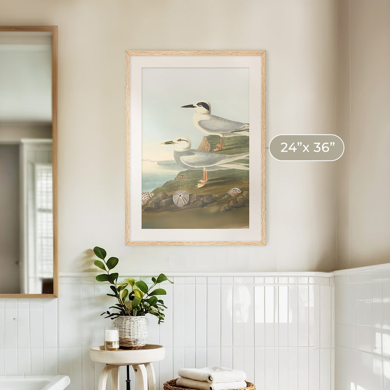 Seagull Print - Sage and Rose Prints