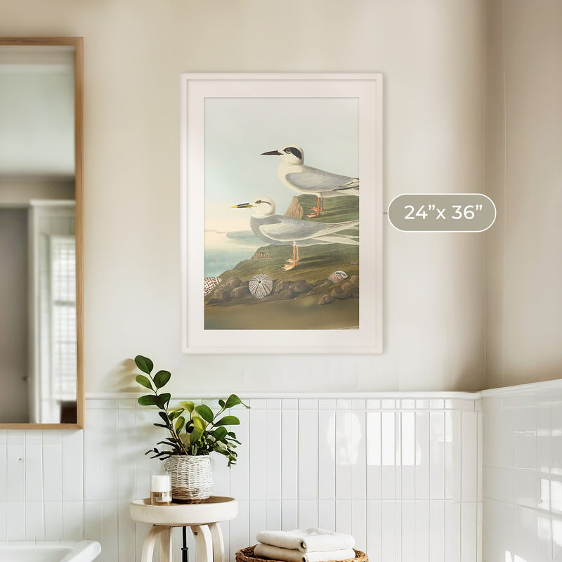 Seagull Print - Sage and Rose Prints