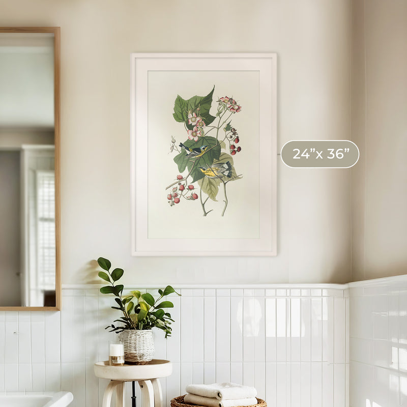 Black and Yellow Warbler Print - Sage and Rose Prints