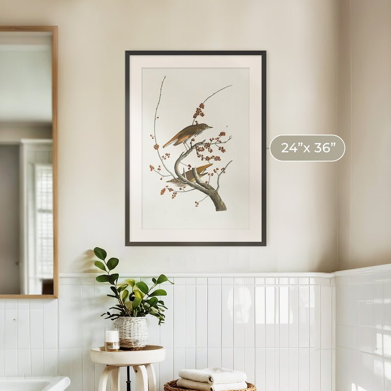 Naturalist Bird Print No1 - Sage and Rose Prints