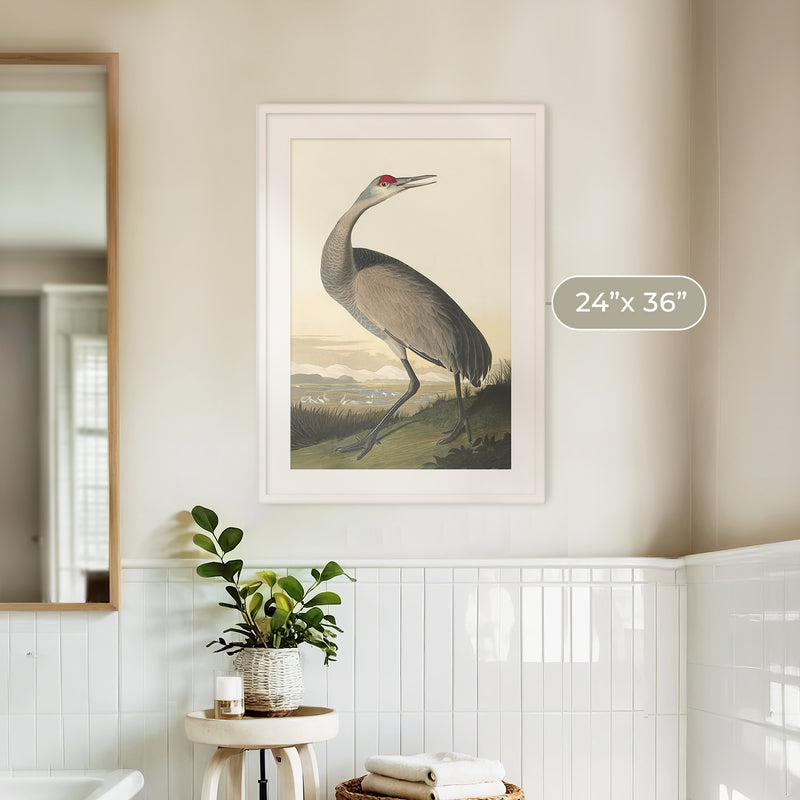 Hooping Crane Print - Sage and Rose Prints