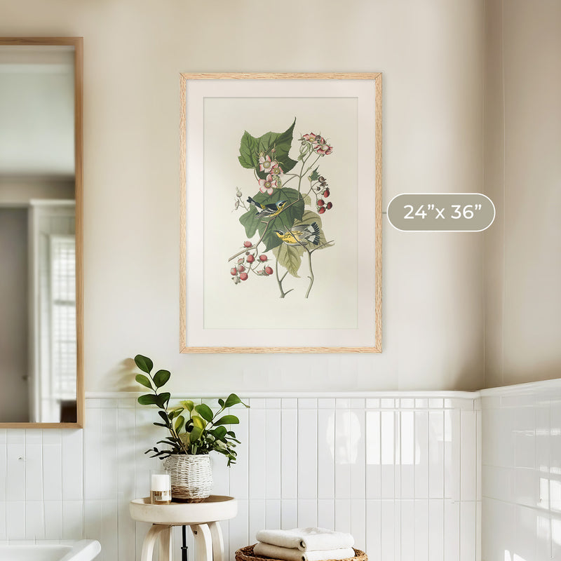 Black and Yellow Warbler Print - Sage and Rose Prints