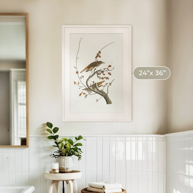 Naturalist Bird Print No1 - Sage and Rose Prints