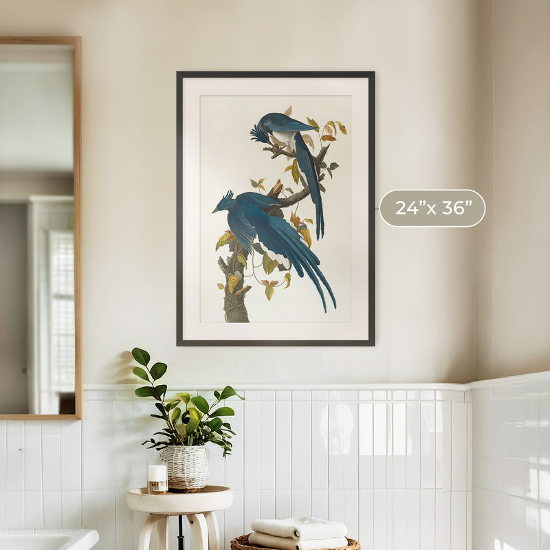 Jay Bird Artwork - Sage and Rose Prints