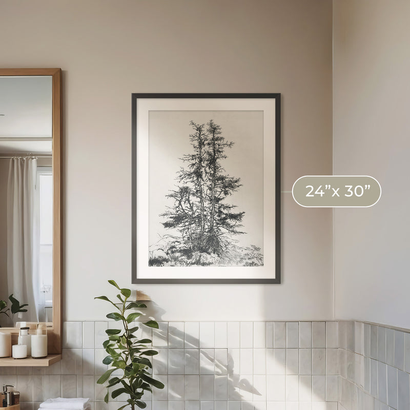 Black and White Tree Illustration No1 - Sage and Rose Prints