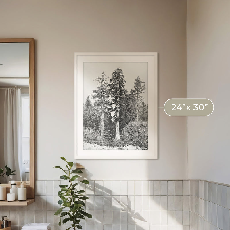 Black and White Tree Illustration No3 - Sage and Rose Prints