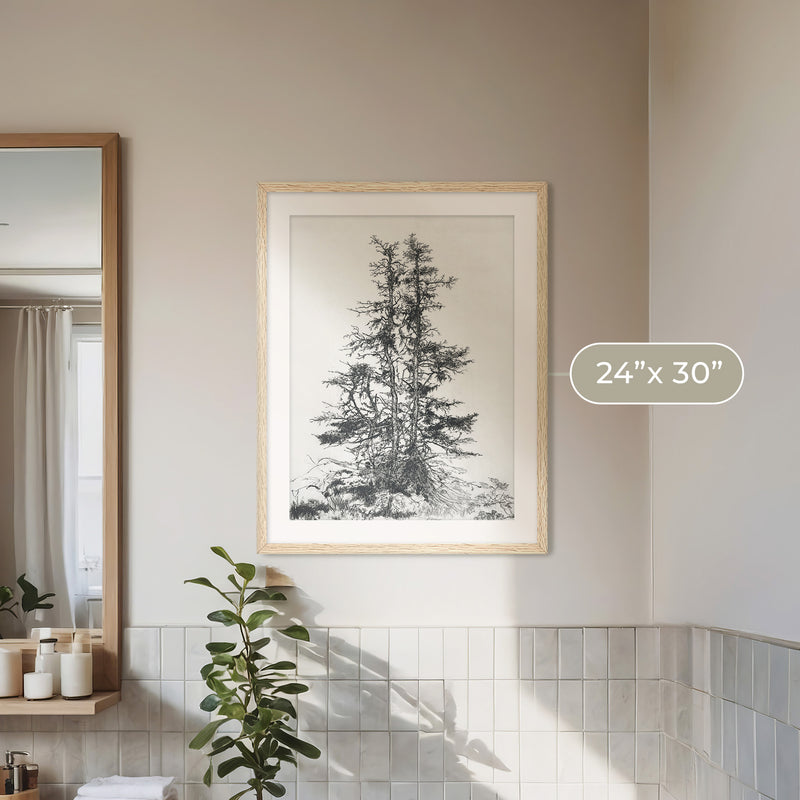 Black and White Tree Illustration No1 - Sage and Rose Prints