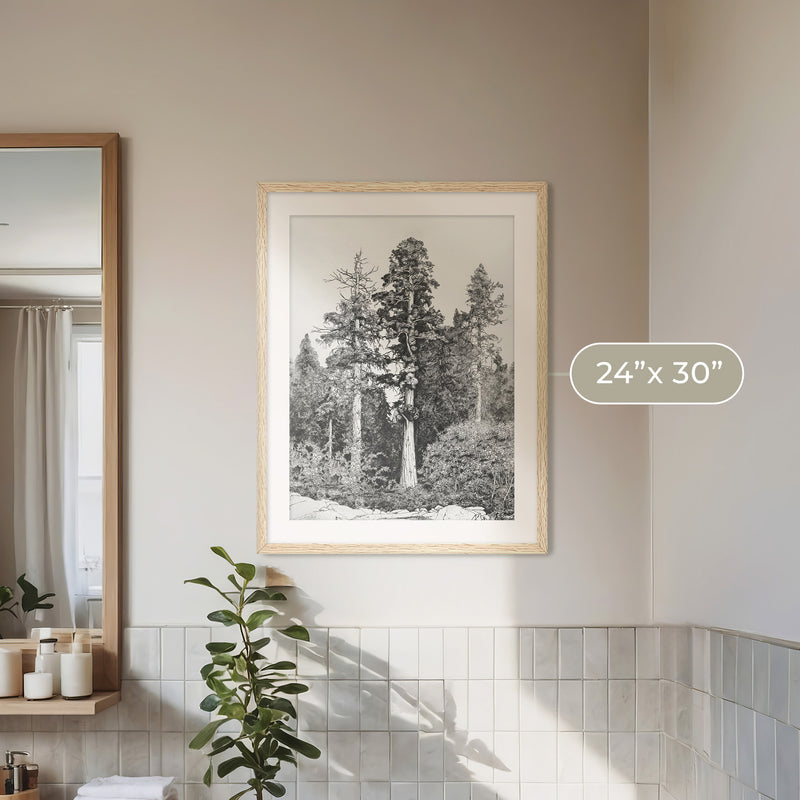 Black and White Tree Illustration No3 - Sage and Rose Prints