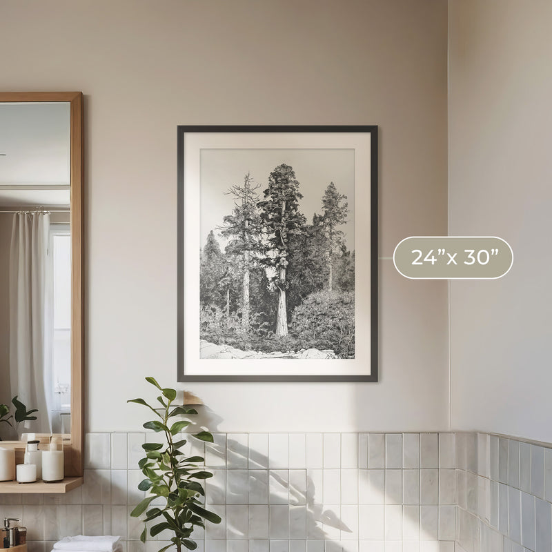 Black and White Tree Illustration No3 - Sage and Rose Prints
