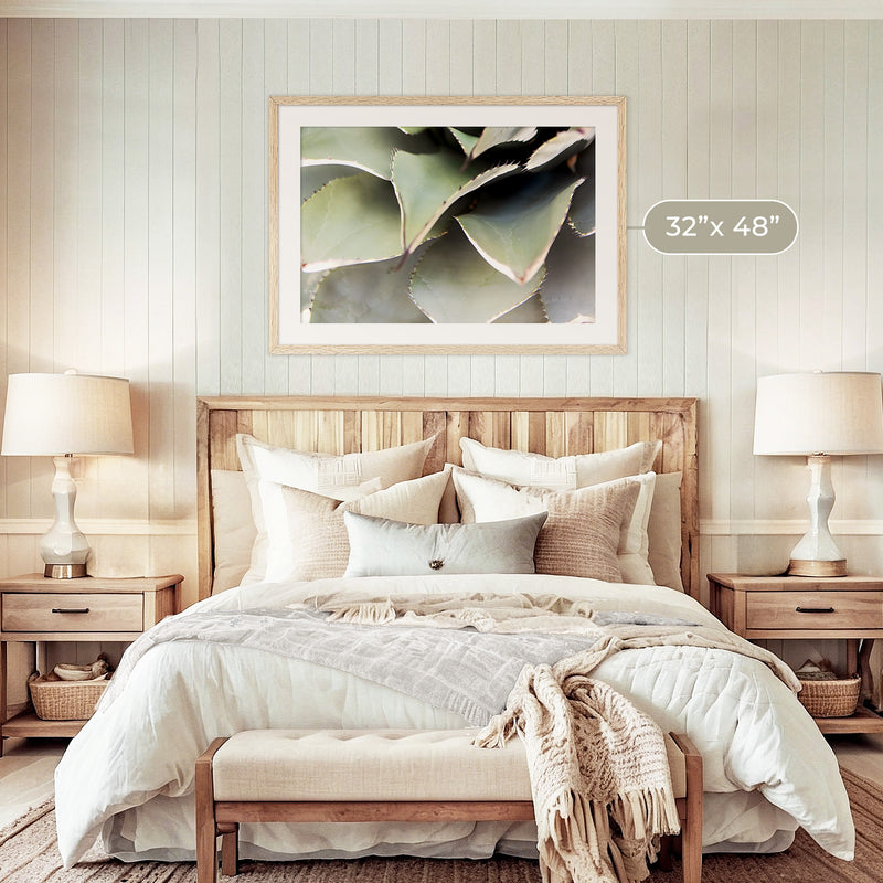 Agave Cactus Geometric Desert Photo Print No1 - Sage and Rose Prints