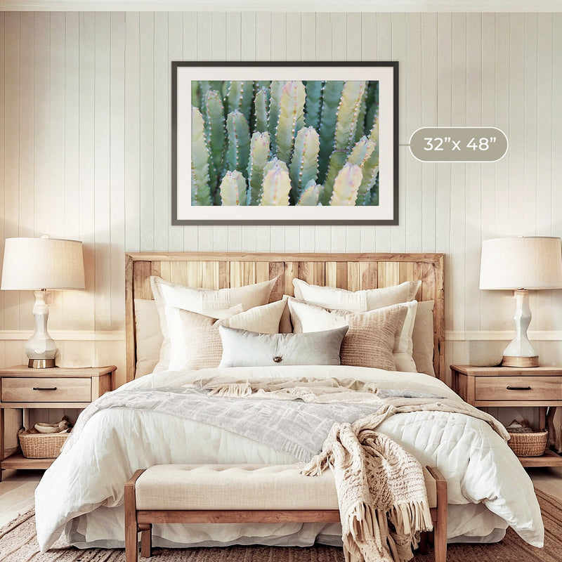 Moroccan Mound Cactus Geometric Photo No1 - Sage and Rose Prints