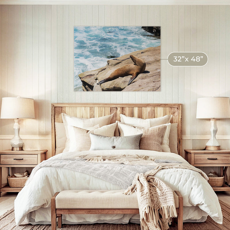 Sea Lion Sunbathing California Photography - Sage and Rose Prints