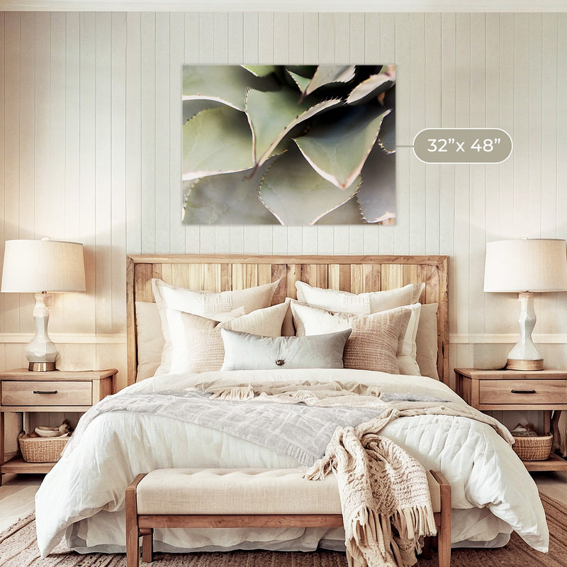 Agave Cactus Geometric Desert Photo Print No1 - Sage and Rose Prints