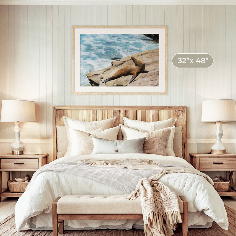 Sea Lion Sunbathing California Photography - Sage and Rose Prints