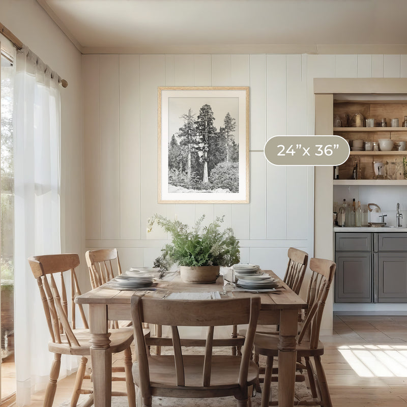 Black and White Tree Illustration No3 - Sage and Rose Prints