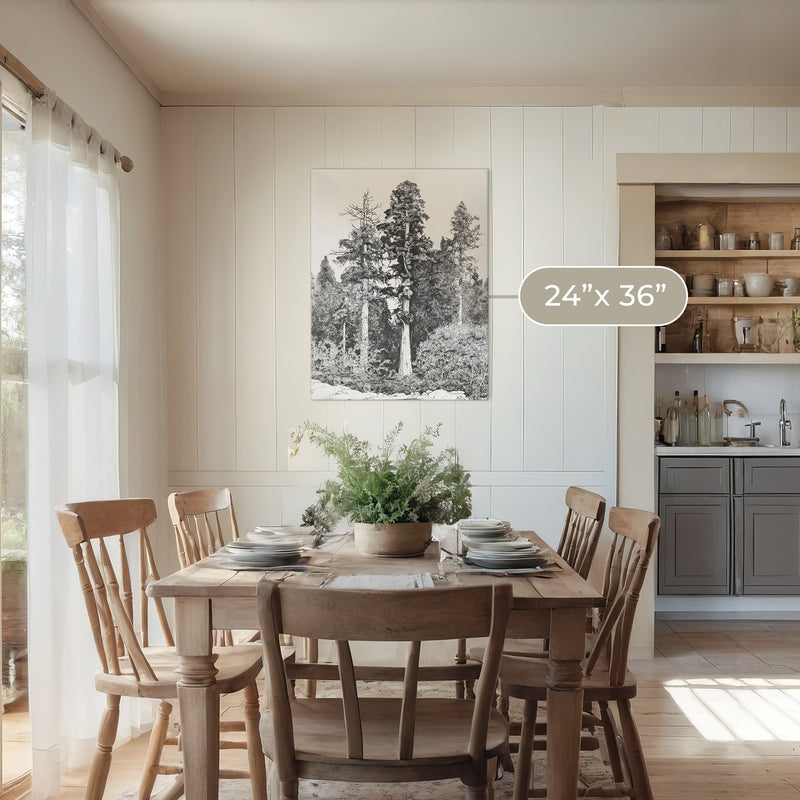 Black and White Tree Illustration No3 - Sage and Rose Prints