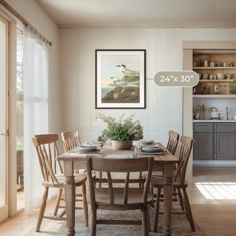 Seagull Print - Sage and Rose Prints