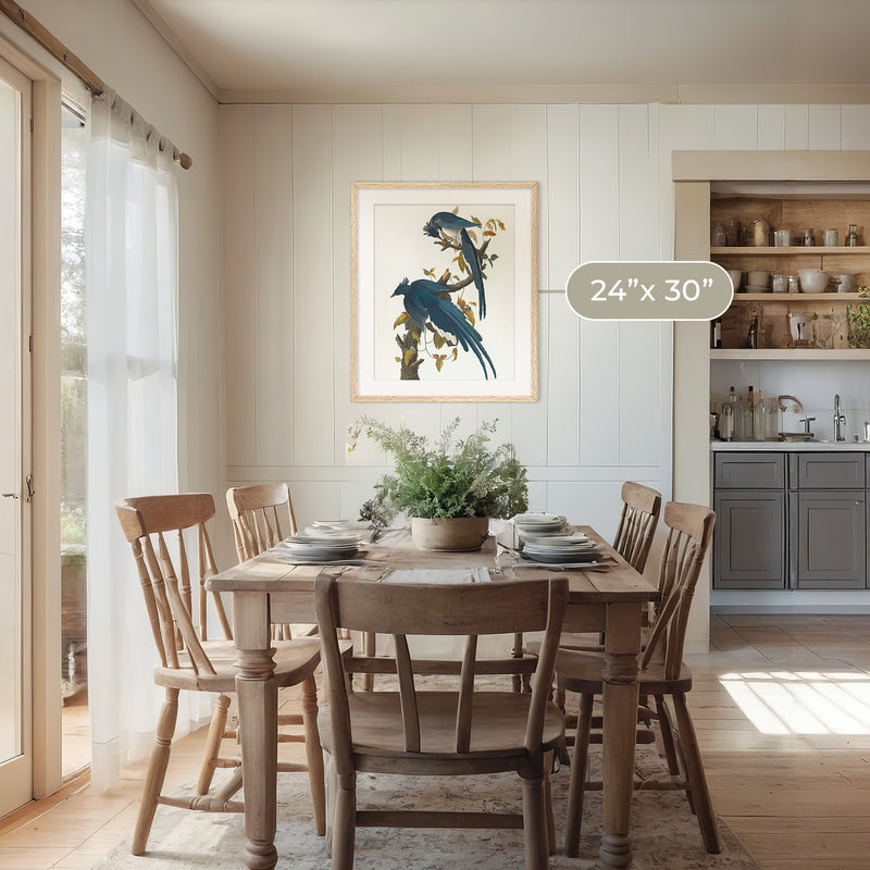 Jay Bird Artwork - Sage and Rose Prints