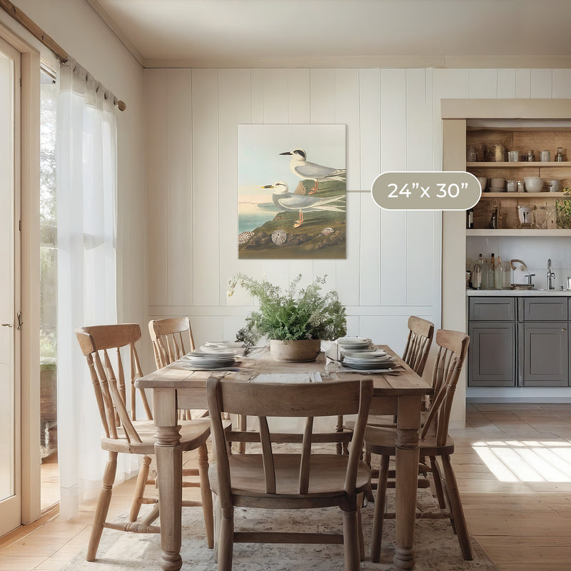 Seagull Print - Sage and Rose Prints