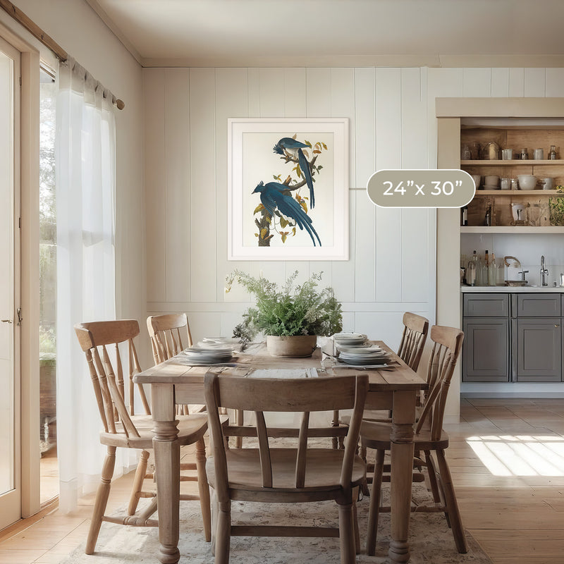 Jay Bird Artwork - Sage and Rose Prints