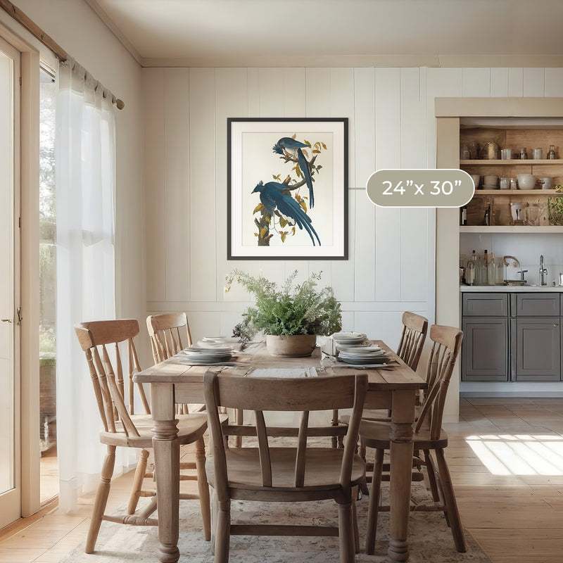 Jay Bird Artwork - Sage and Rose Prints