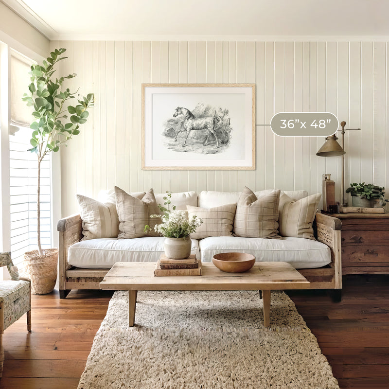 Horse Illustration 20-1x - Sage and Rose Prints