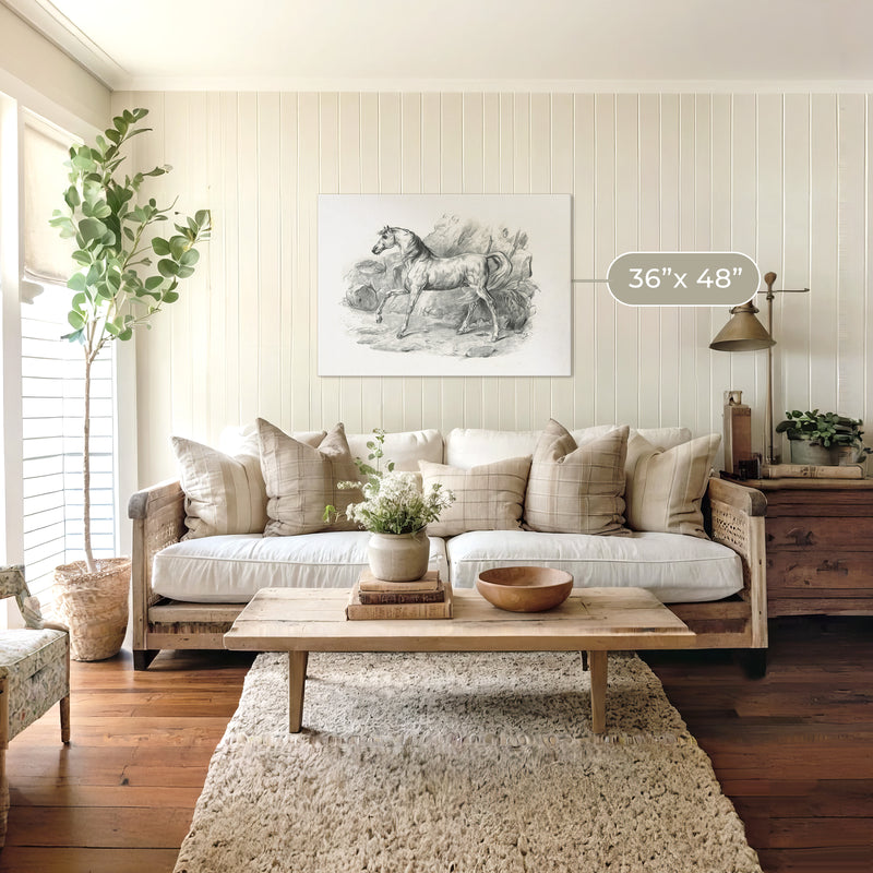 Horse Illustration 20-1x - Sage and Rose Prints