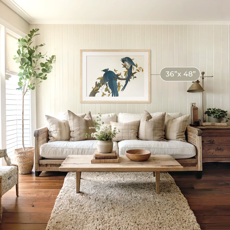 Jay Bird Artwork 2 - Sage and Rose Prints