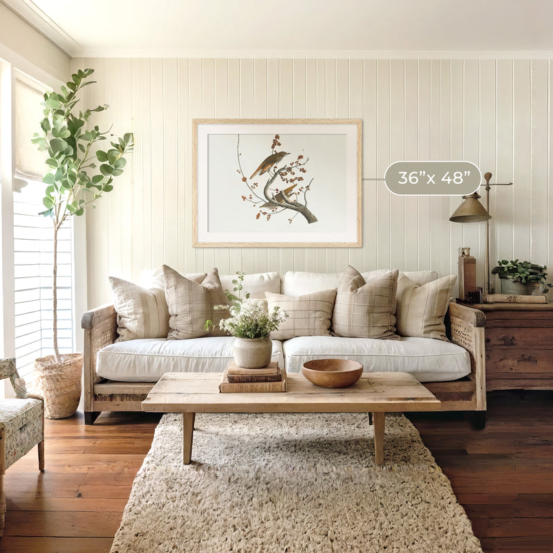 Naturalist Bird Print No2 - Sage and Rose Prints