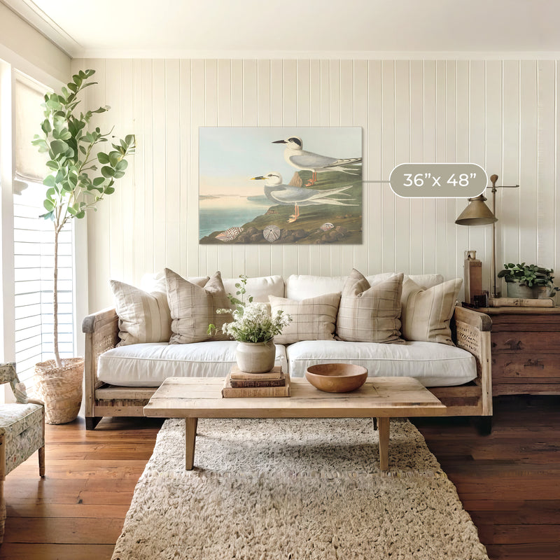 Seagull Artwork - Sage and Rose Prints