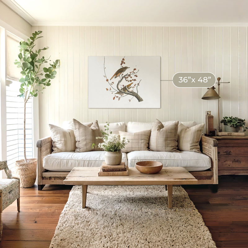 Naturalist Bird Print No2 - Sage and Rose Prints