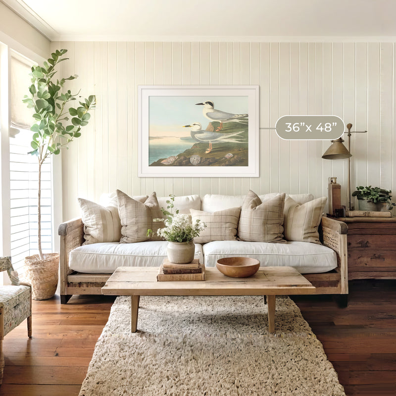 Seagull Artwork - Sage and Rose Prints