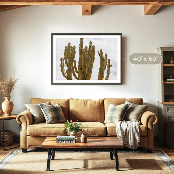 San Diego Cactus Photo - Sage and Rose Prints