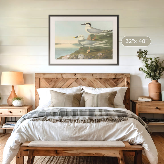 Seagull Artwork - Sage and Rose Prints
