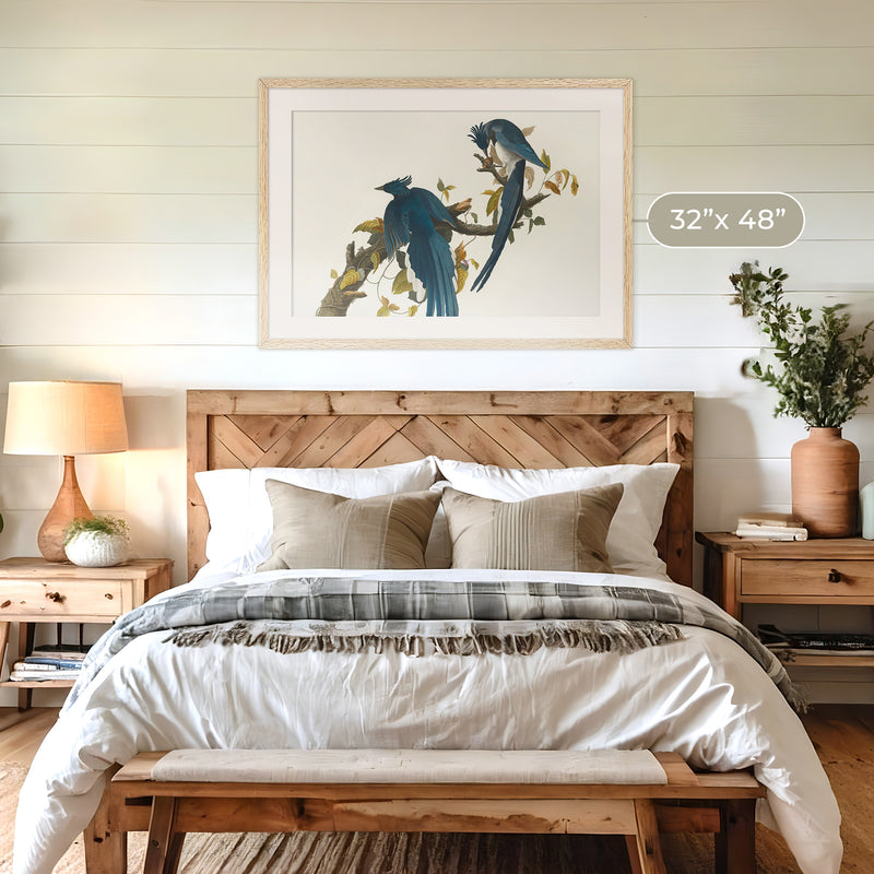 Jay Bird Artwork 2 - Sage and Rose Prints