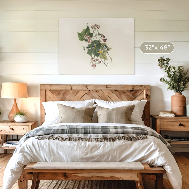 Black and Yellow Warbler Print 2 - Sage and Rose Prints